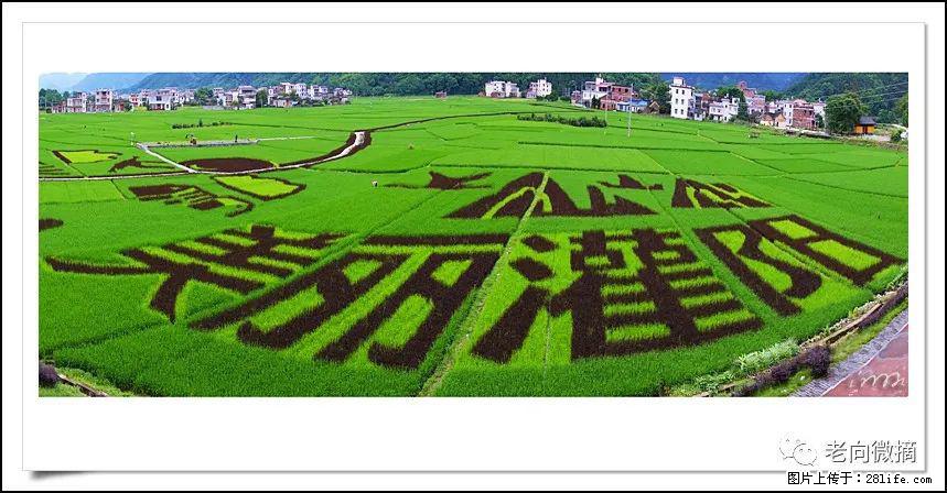 【春天，广西桂林灌阳县向您发出邀请！】开篇 - 游山玩水 - 兰州生活社区 - 兰州28生活网 lz.28life.com