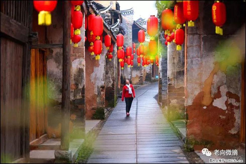 【春天，广西桂林灌阳县向您发出邀请！】江口老街又逢春 - 游山玩水 - 兰州生活社区 - 兰州28生活网 lz.28life.com