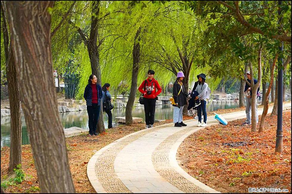 【春天，广西桂林灌阳县向您发出邀请！】江口老街又逢春 - 游山玩水 - 兰州生活社区 - 兰州28生活网 lz.28life.com