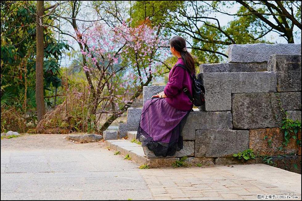 【春天，广西桂林灌阳县向您发出邀请！】江口老街又逢春 - 游山玩水 - 兰州生活社区 - 兰州28生活网 lz.28life.com