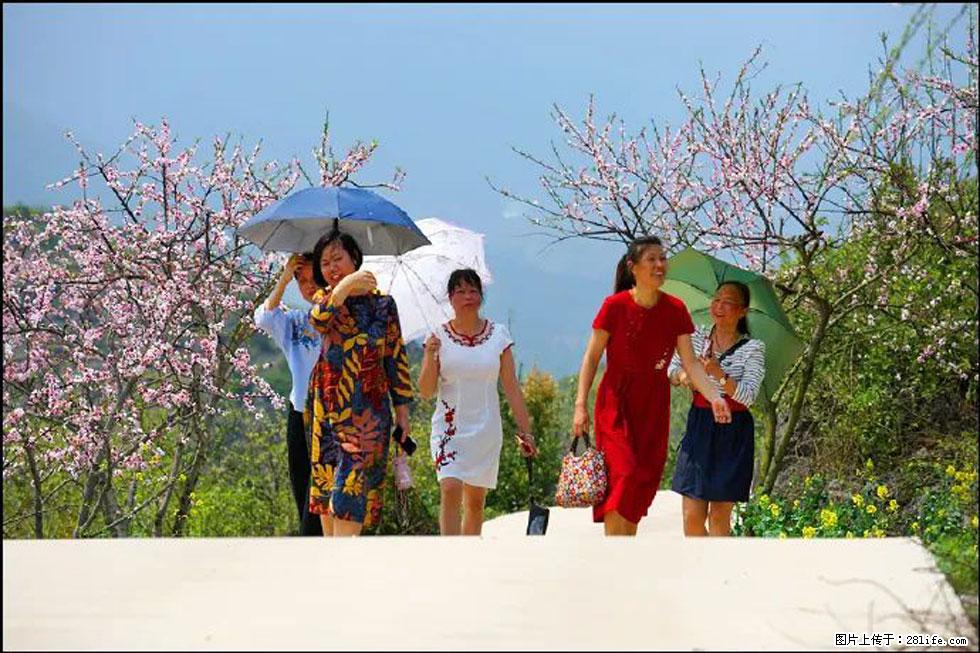 【春天,广西桂林灌阳县向您发出邀请!】望月岭上桃花开 - 游山玩水 - 兰州生活社区 - 兰州28生活网 lz.28life.com