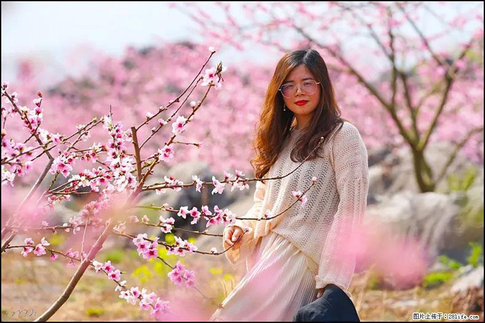 【春天,广西桂林灌阳县向您发出邀请!】望月岭上桃花开 - 游山玩水 - 兰州生活社区 - 兰州28生活网 lz.28life.com