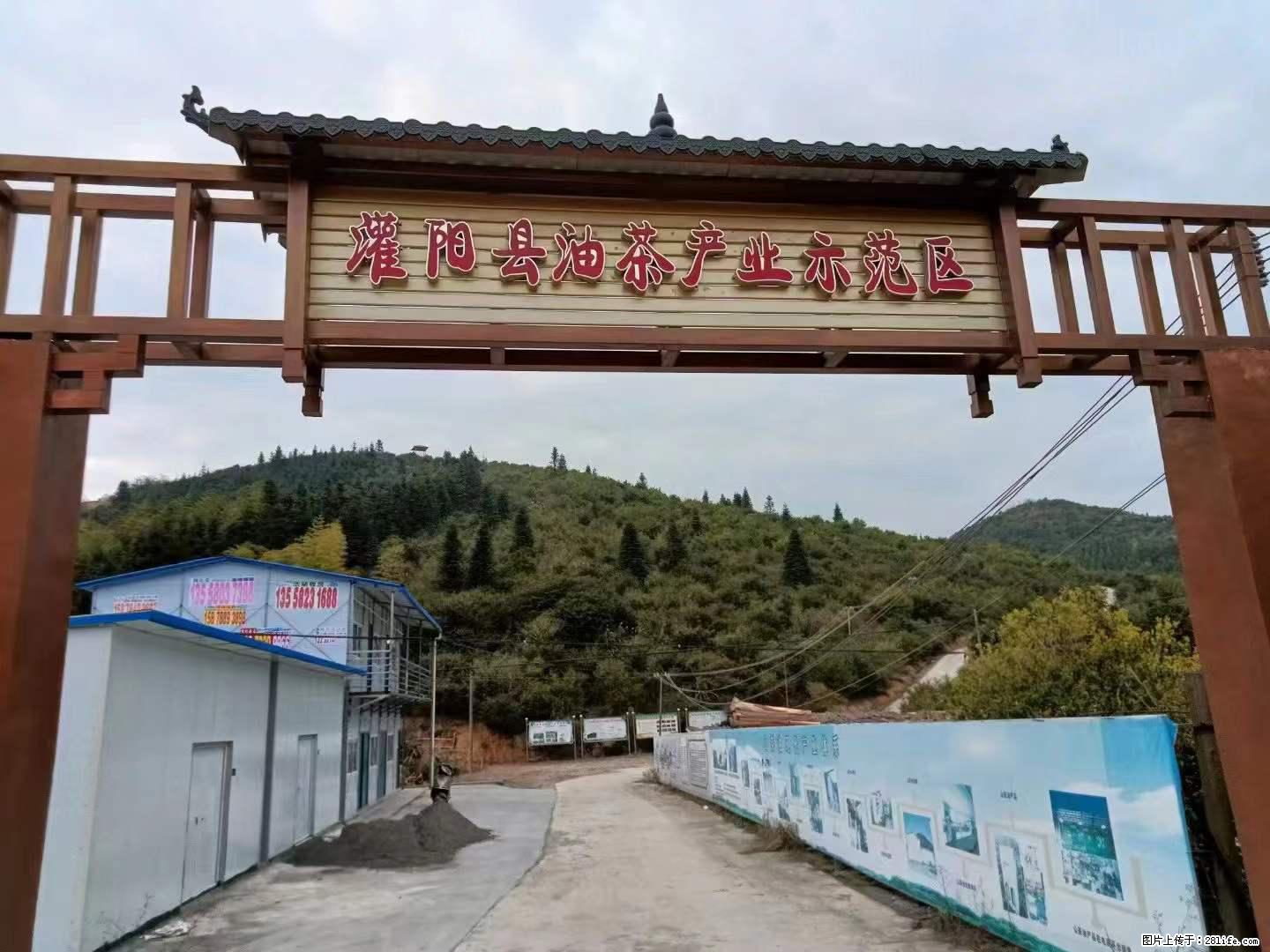 【灌阳县油茶产业示范区】一个有着充实的精神生活的人,对待身外之物自会有一种淡泊的态度 - 美食天地 - 兰州生活社区 - 兰州28生活网 lz.28life.com