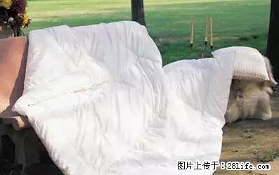 被子有异味?只要这样做,比晒太阳还强100倍! - 家居生活 - 兰州生活社区 - 兰州28生活网 lz.28life.com