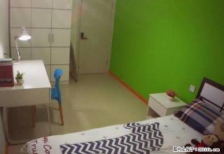 (单间出租)精装公寓980每月，离近兰新，东部，兰医，省医 - 兰州28生活网 lz.28life.com