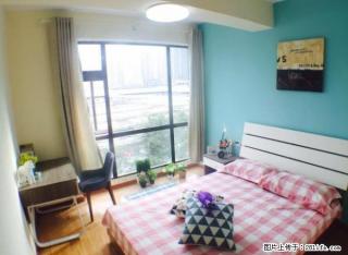 城关雁滩工业城对面鑫亿城一室精装公寓 百兆网络干净卫生拎包住 - 兰州28生活网 lz.28life.com