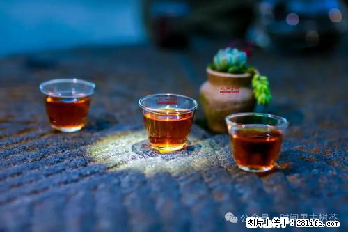 时间果百年古树2025年春红茶 - 购物交流 - 兰州生活社区 - 兰州28生活网 lz.28life.com