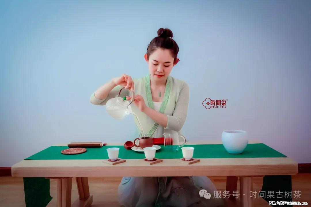 时间果百年古树龙珠普洱生茶 - 购物交流 - 兰州生活社区 - 兰州28生活网 lz.28life.com