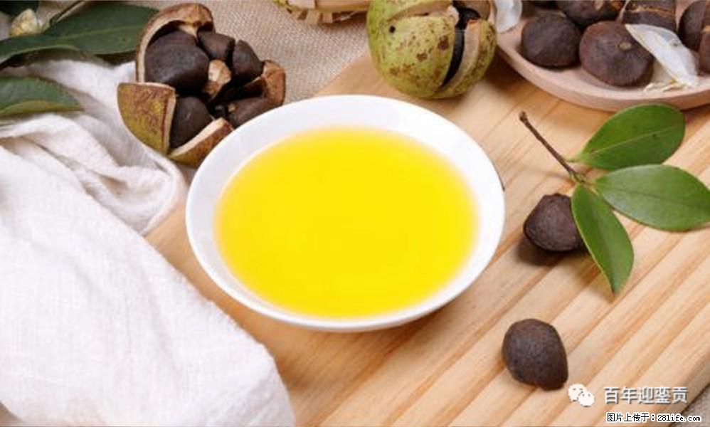 揭秘茶油的5大核心营养成分！被称为人体健康的“守护盾”！ - 兰州生活资讯 - 兰州28生活网 lz.28life.com
