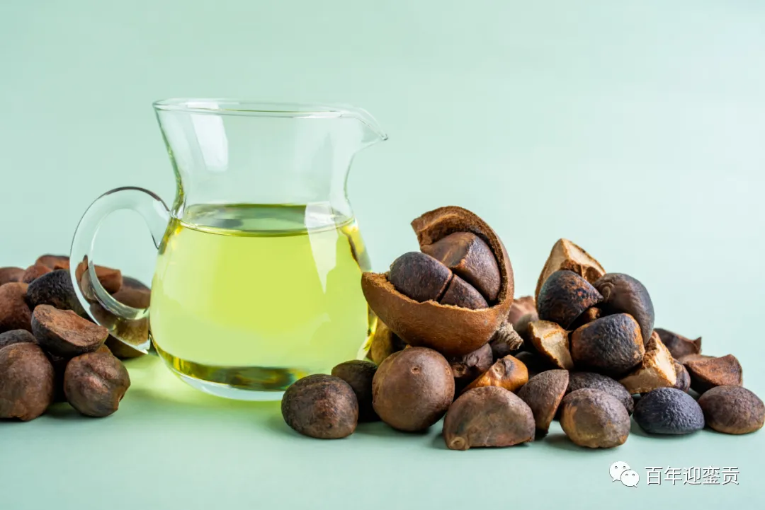 世界没有真相，只有认知，最好的食用油是中国的山茶油！ - 兰州生活资讯 - 兰州28生活网 lz.28life.com