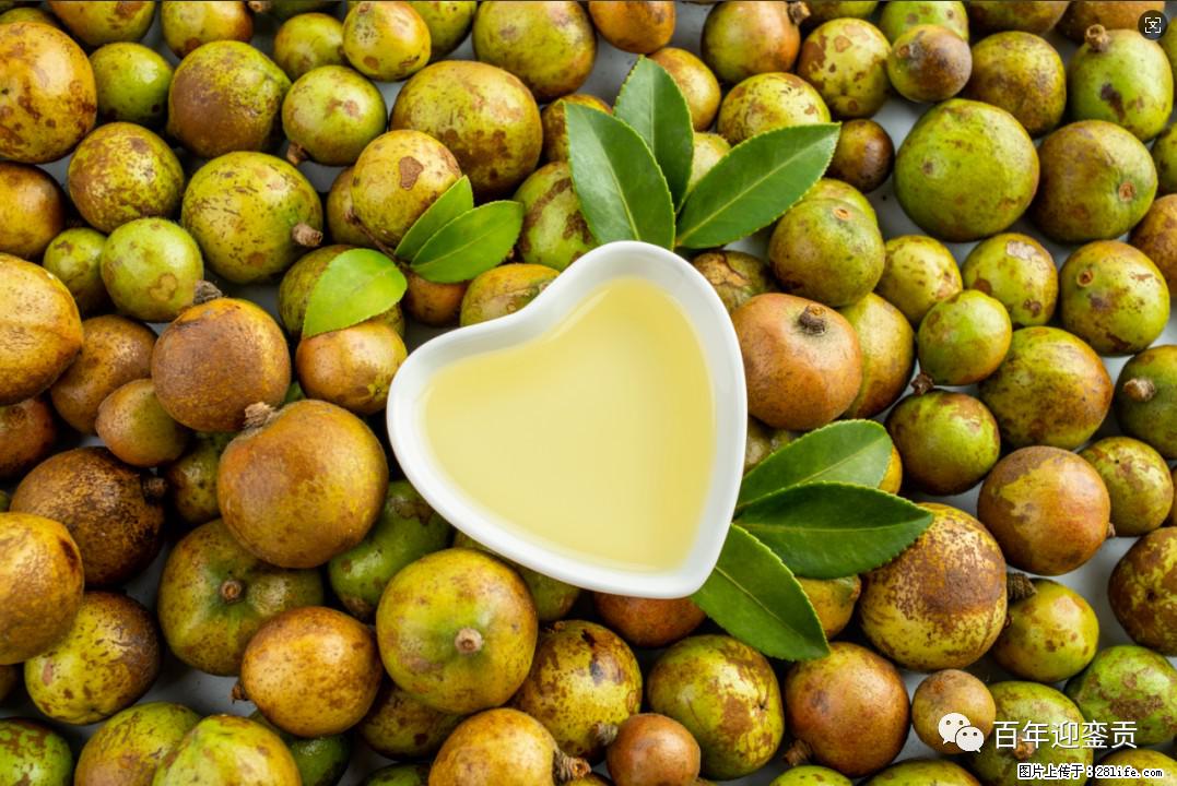 世界没有真相，只有认知，最好的食用油是中国的山茶油！ - 兰州生活资讯 - 兰州28生活网 lz.28life.com