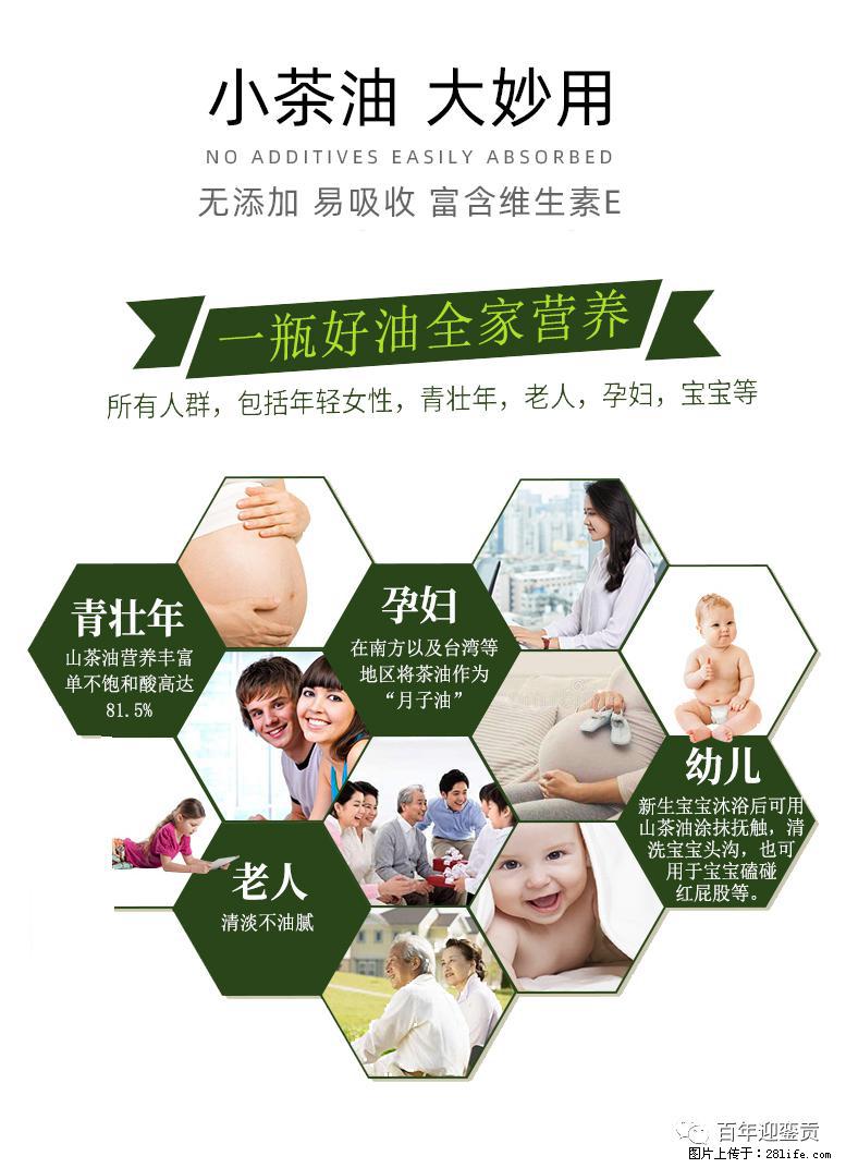 世界没有真相，只有认知，最好的食用油是中国的山茶油！ - 兰州生活资讯 - 兰州28生活网 lz.28life.com