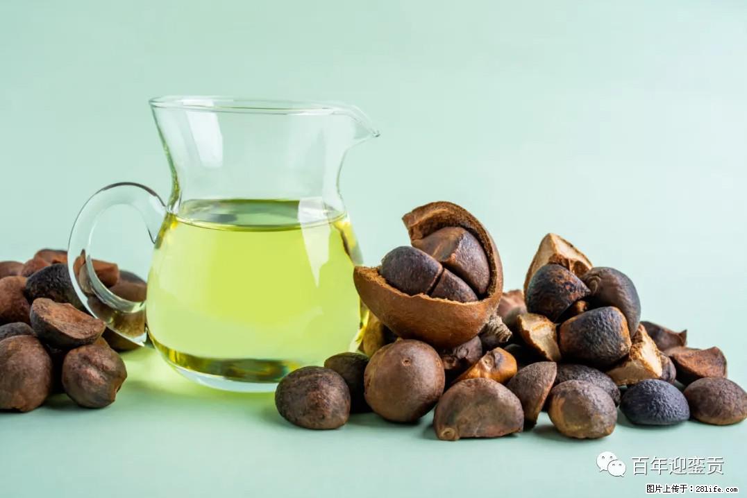 世界没有真相，只有认知，最好的食用油是中国的山茶油！ - 兰州生活资讯 - 兰州28生活网 lz.28life.com