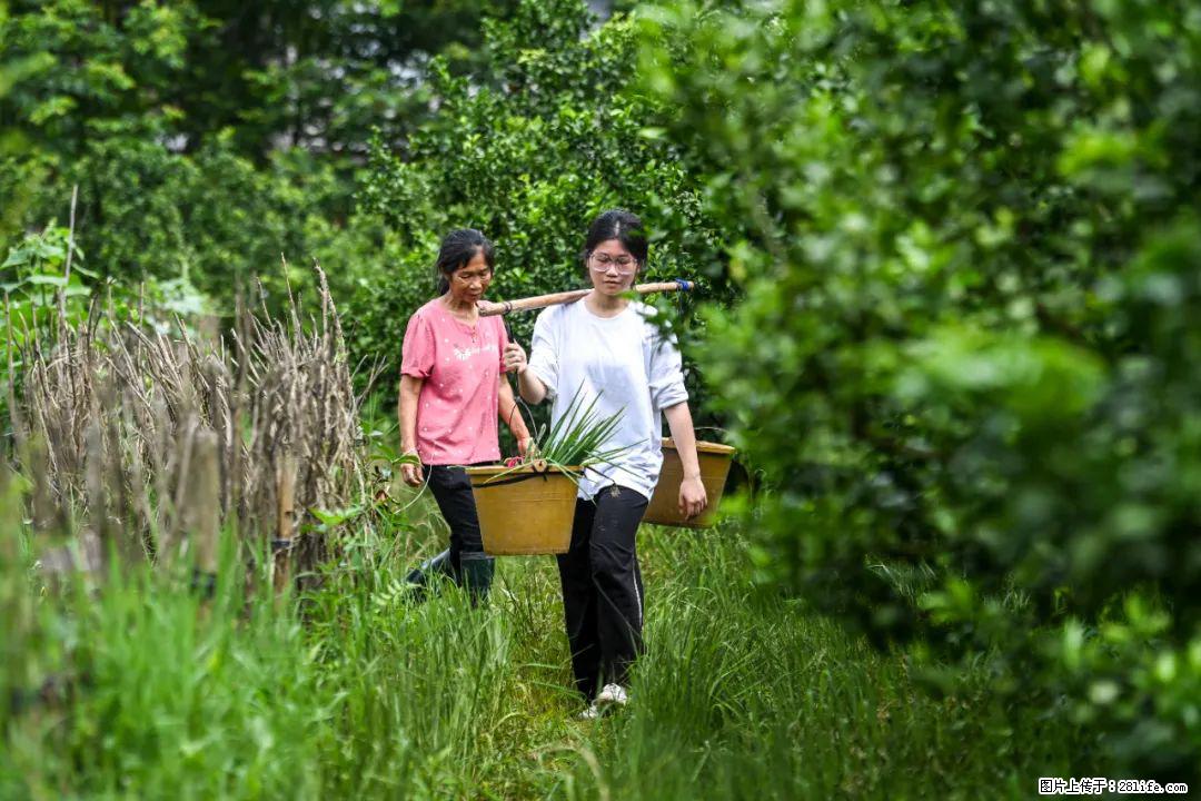 全网追的“扁担女孩”，找了一份暑假工，时薪12元 - 兰州生活资讯 - 兰州28生活网 lz.28life.com