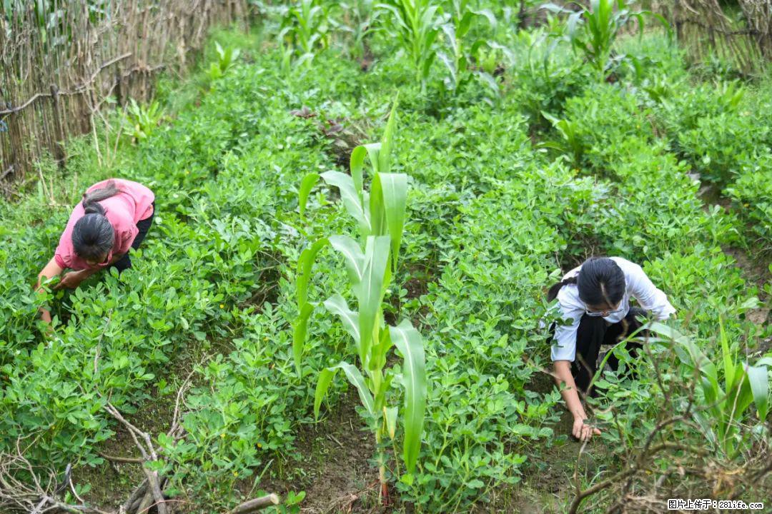全网追的“扁担女孩”，找了一份暑假工，时薪12元 - 兰州生活资讯 - 兰州28生活网 lz.28life.com