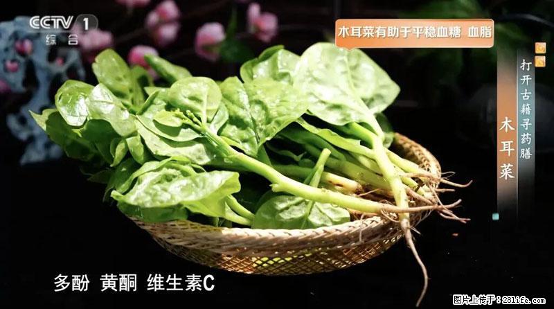 比牛奶补钙还厉害！凉血解毒、稳血糖...这菜冬天必吃，很多人却当草 - 兰州生活资讯 - 兰州28生活网 lz.28life.com