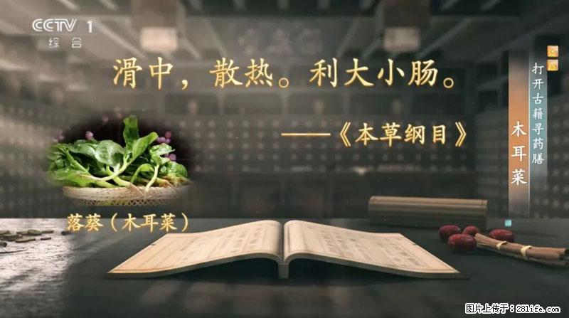 比牛奶补钙还厉害！凉血解毒、稳血糖...这菜冬天必吃，很多人却当草 - 兰州生活资讯 - 兰州28生活网 lz.28life.com