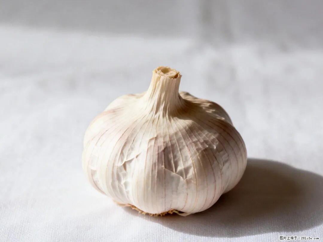 关于大蒜，除了“天然抗生素”，这4个谣言更该警惕! - 兰州生活资讯 - 兰州28生活网 lz.28life.com