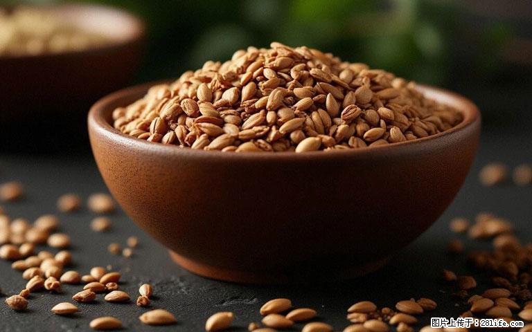 这三苦是三高“克星”，心血管干净不易堵！每天吃一点，指标慢慢降下来~ - 兰州生活资讯 - 兰州28生活网 lz.28life.com